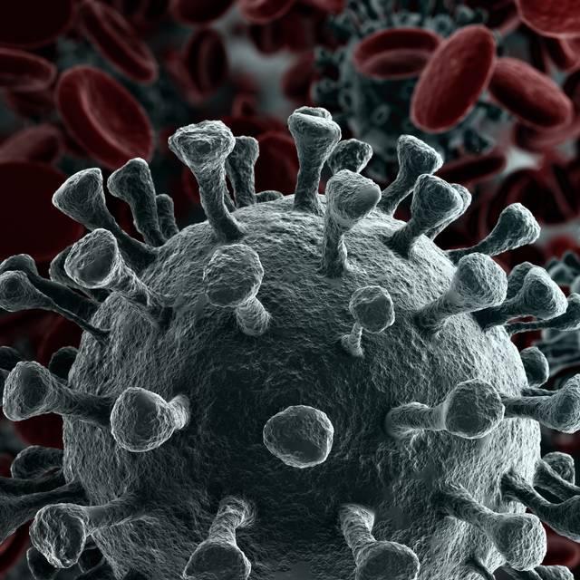 Corona Virus 3D Model