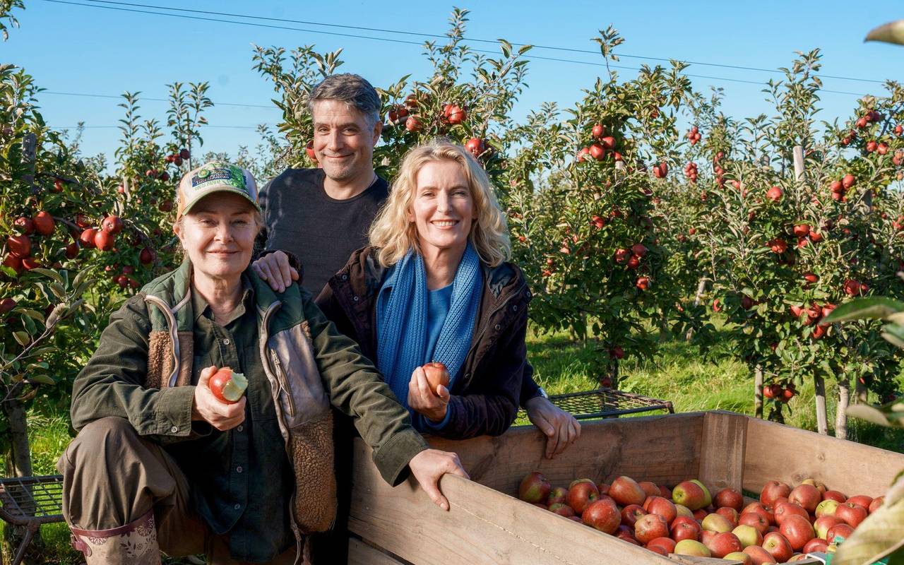 Neuer NDR-"Tatort" aus Niedersachsen mit Maria Furtwängler