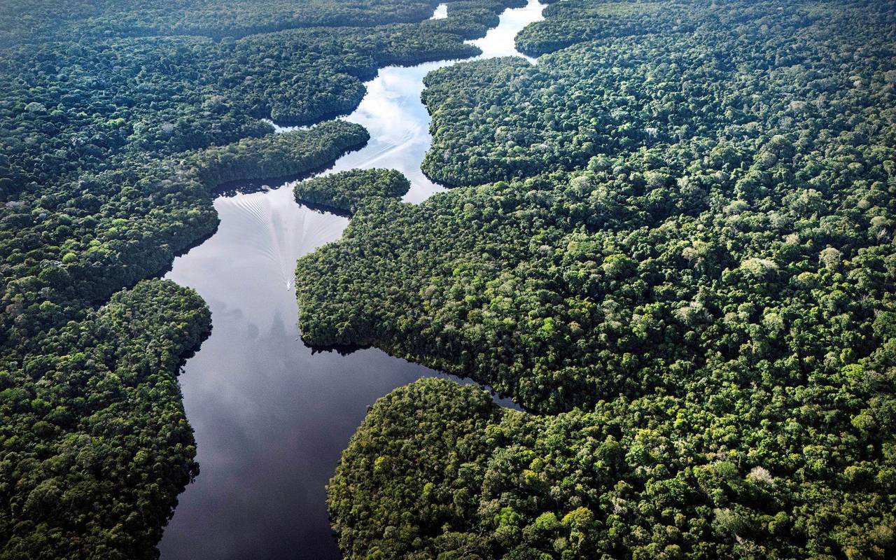 Klimaforschungszentrum im Amazonas