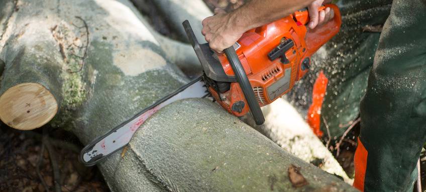 Mehr Autobahnlärm nach Rodung an A3