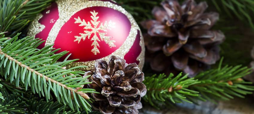 Die letzten Türchen vom Bewegenden Adventskalender öffnen