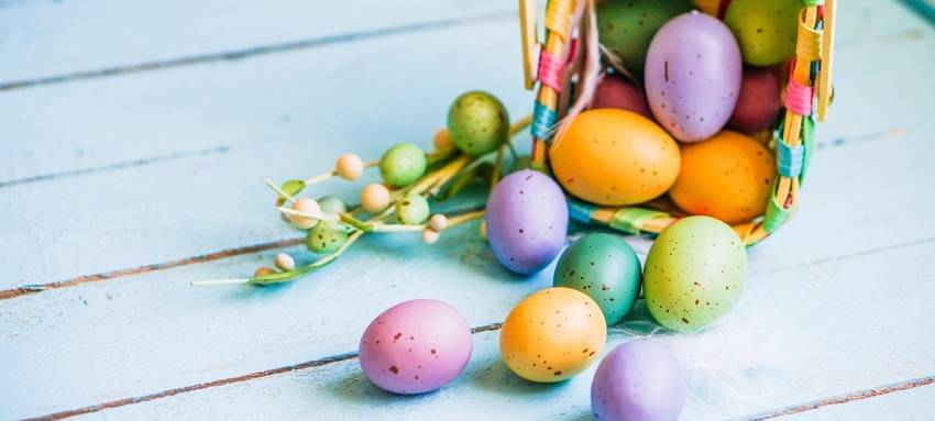 Wie beschäftige ich die Kinder 5 Wochen?