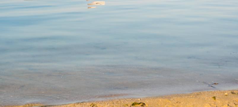 DLRG appelliert an Badende