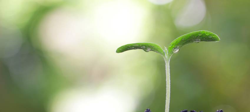 Fünf Oberhausener Schulen bei Sparda-Spendenwahl