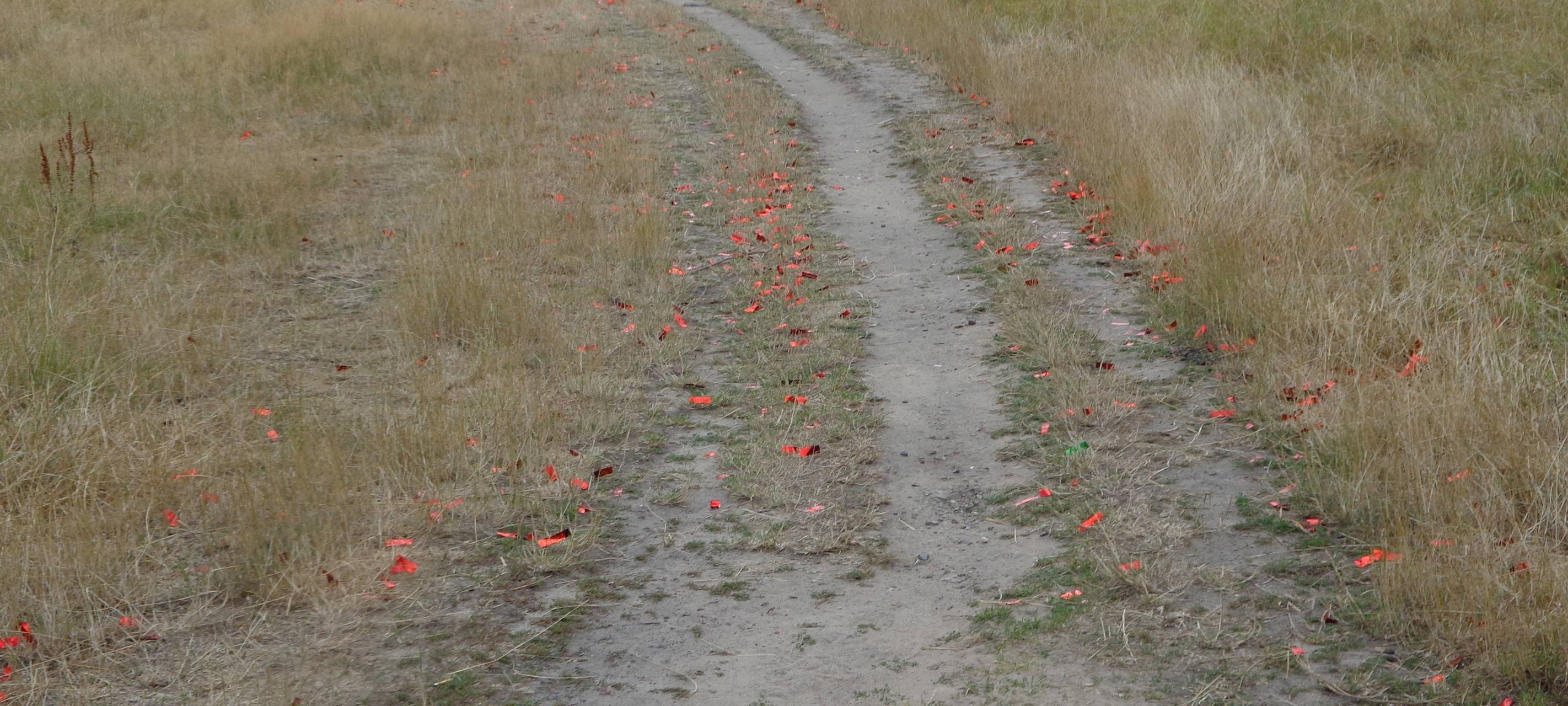 Konfetti-Aufräum-Aktion