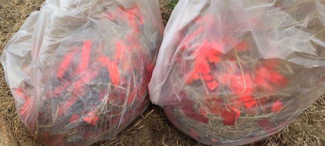 Tolle Aktion gegen Konfetti in der Sterkrader Heide