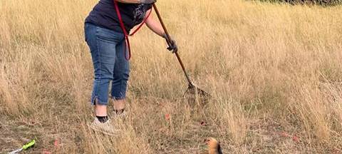Tolle Aktion gegen Konfetti in der Sterkrader Heide