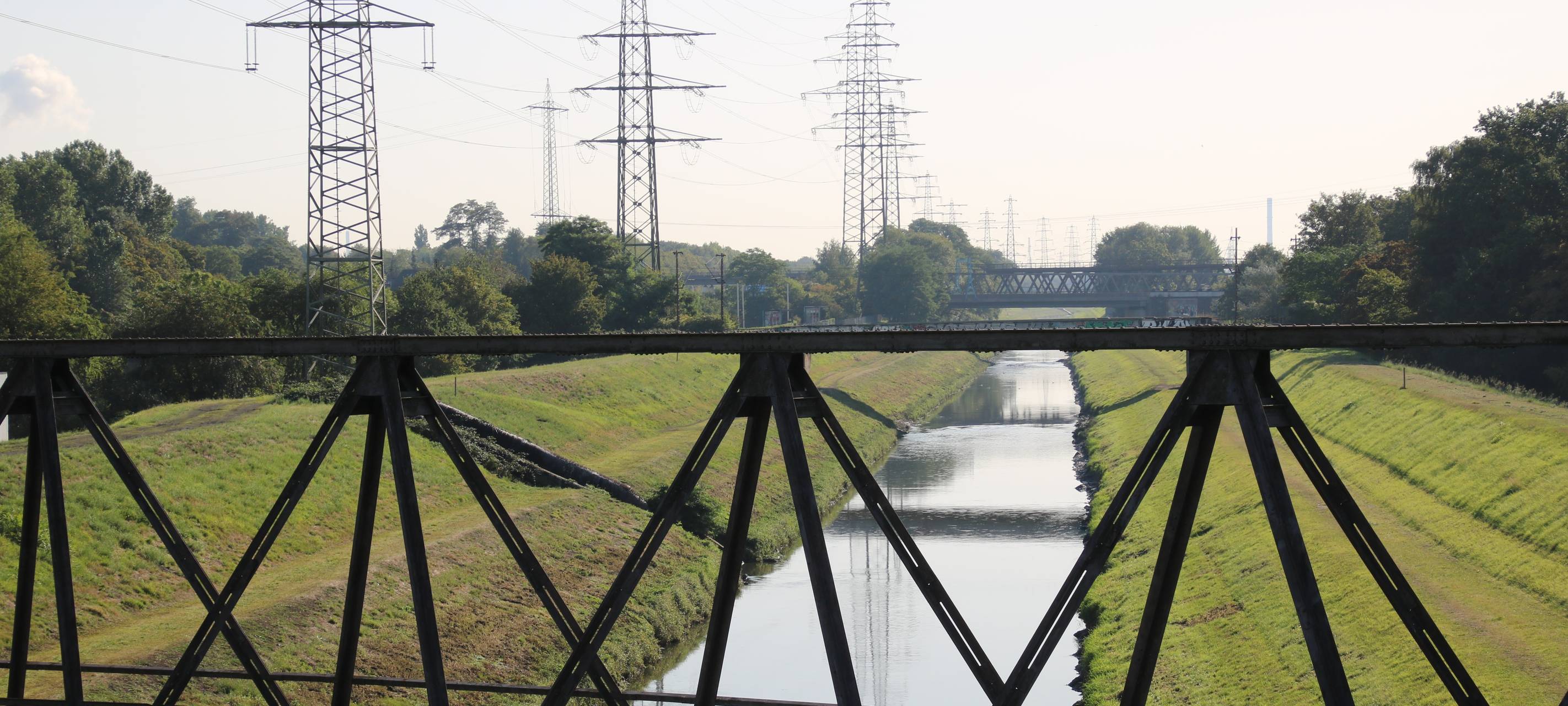 Artenvielfalt hat sich verdreifacht