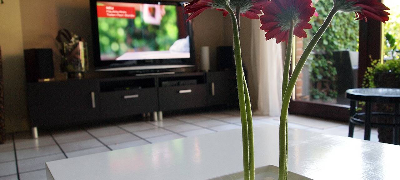 Viele Einpersonenhaushalte im Ruhrgebiet