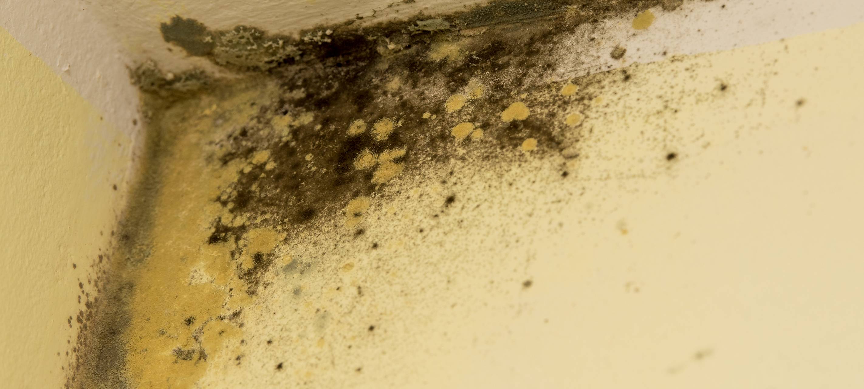 Baumängel: Stadt hat 14 Problemhäuser im Blick