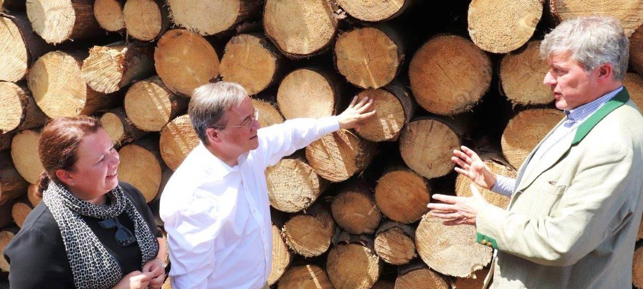 Waldkonferenz soll NRW-Wälder retten