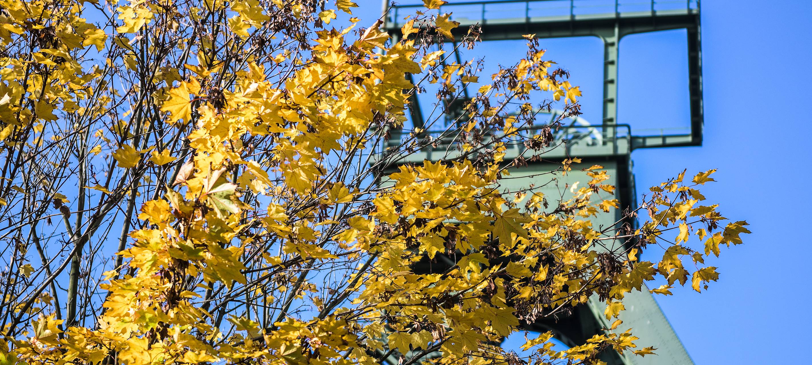 Bauarbeiter arbeiten an Mauern