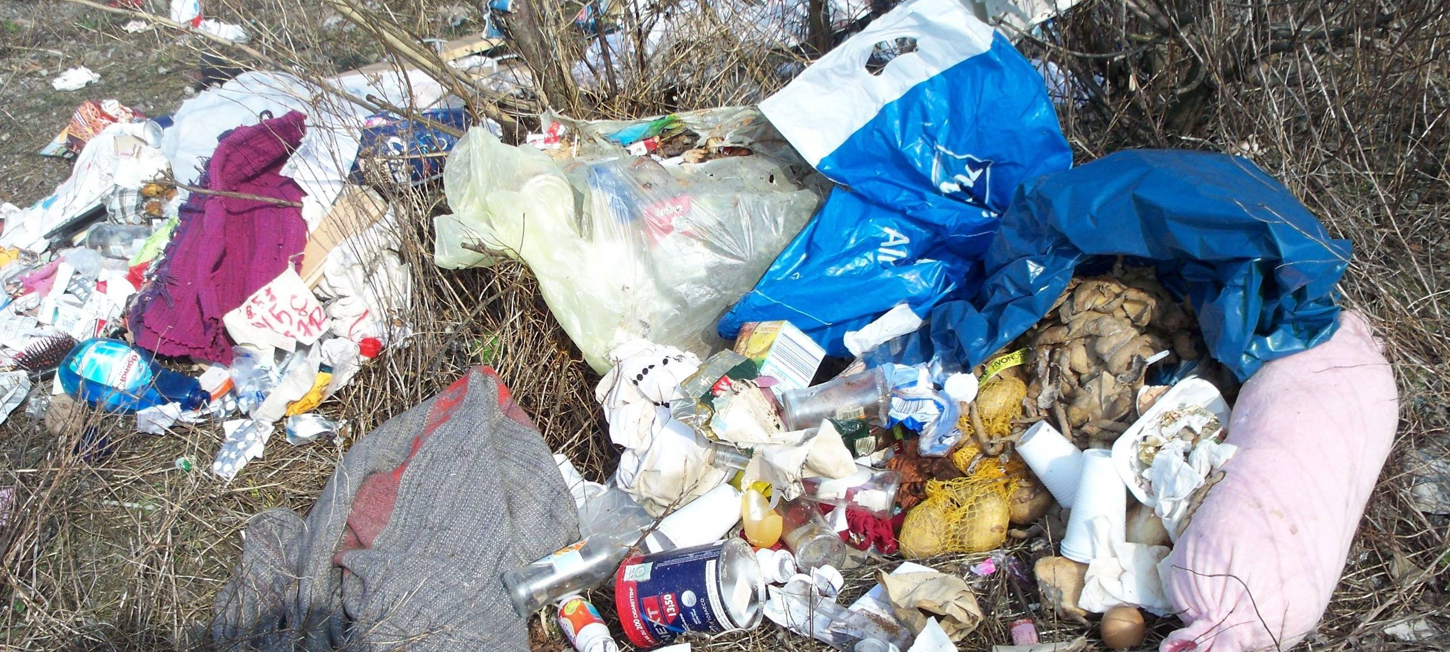 Härtere Strafen für Müllsünder beschlossen