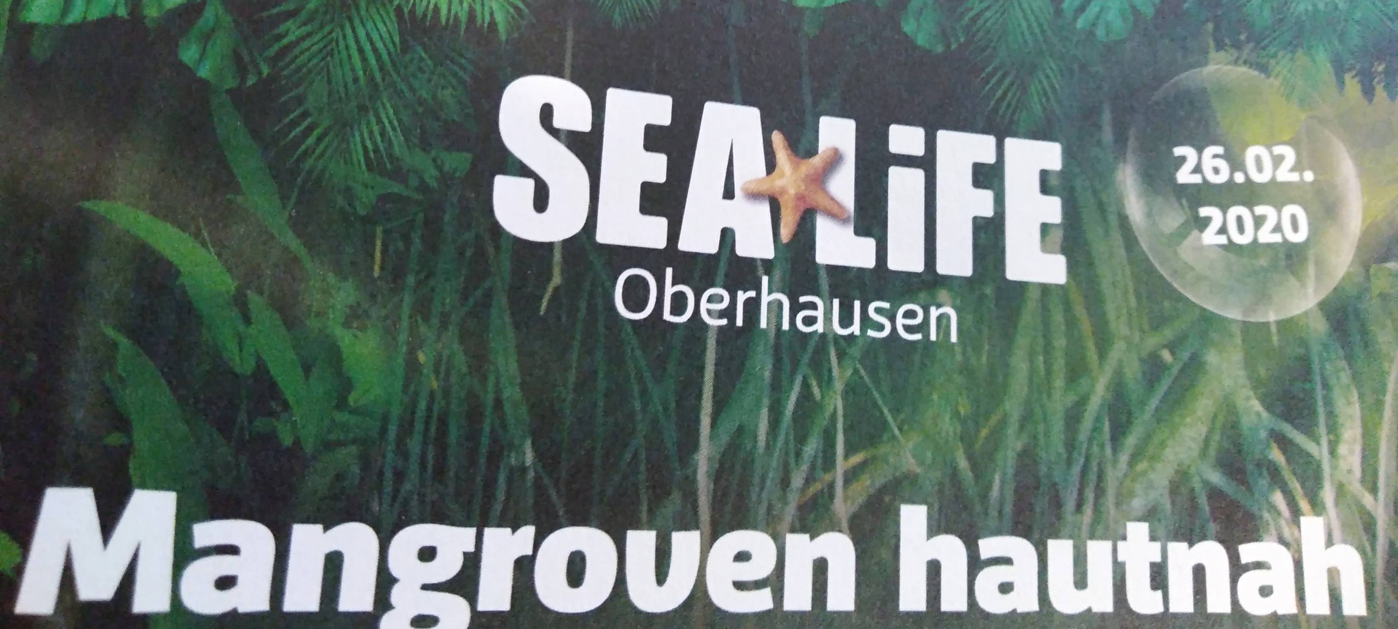 Neue Mangrovenwelt im Sea Life