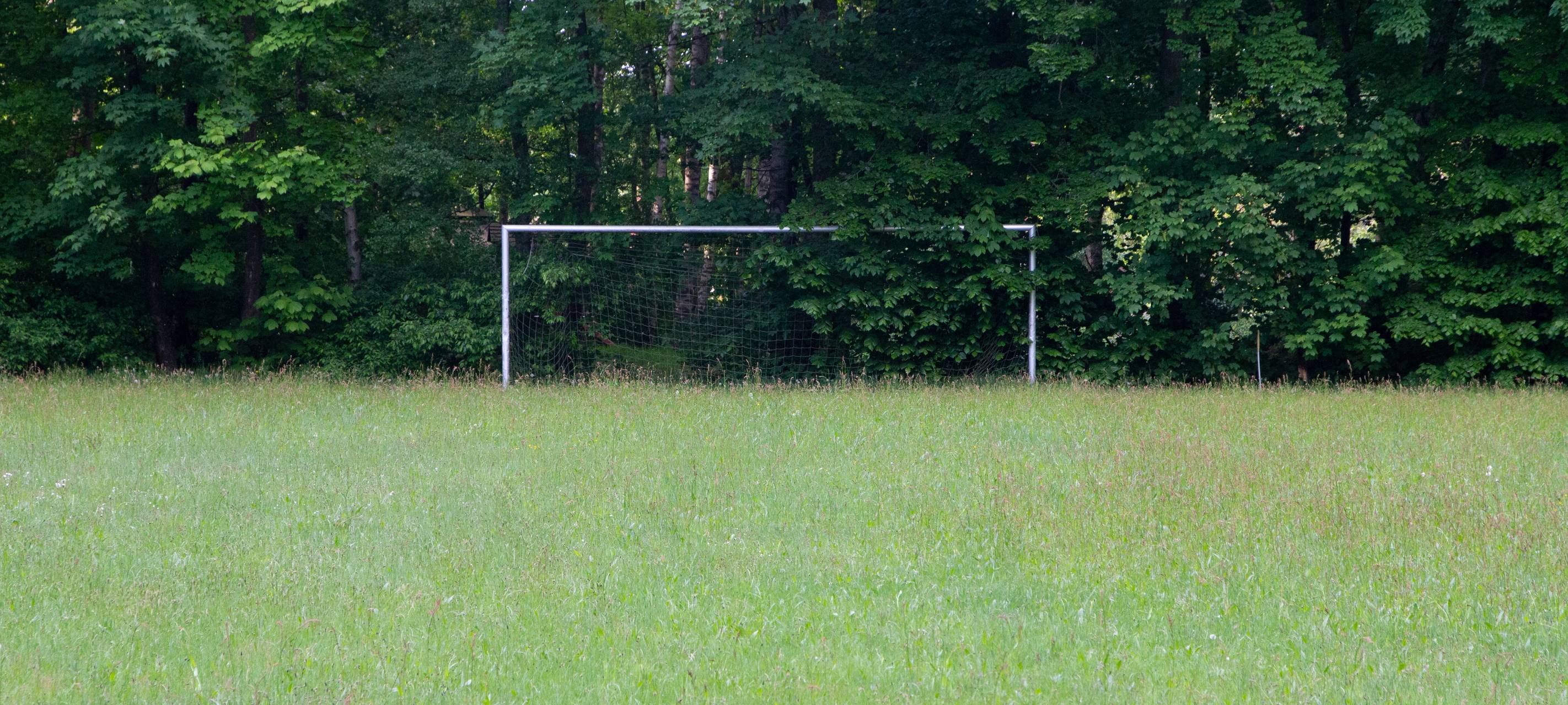 Fußball Fußballplatz Bolzplatz Rasen Geisterspiel zugewachsen verlassen