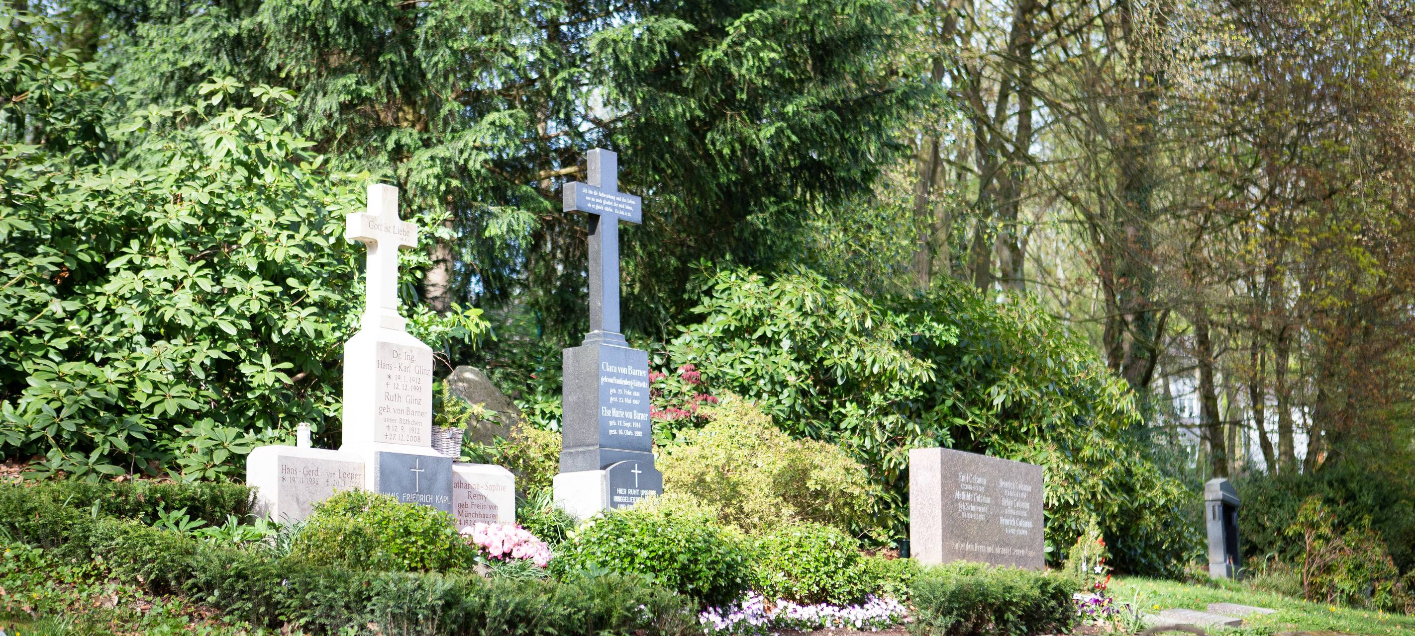Todesursache Nummer 1: Kreislauferkrankungen