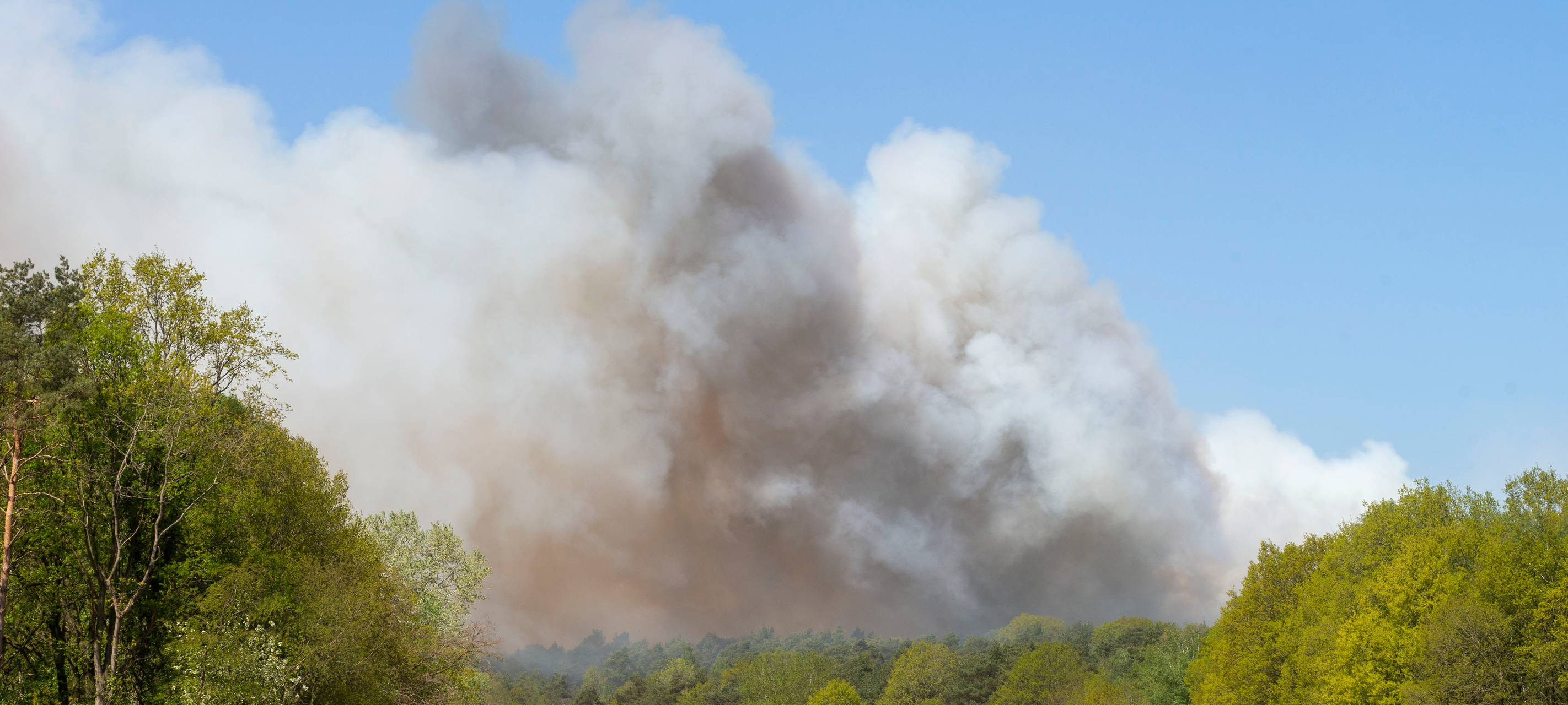 Hohe Waldbrandgefahr im Ruhrgebiet