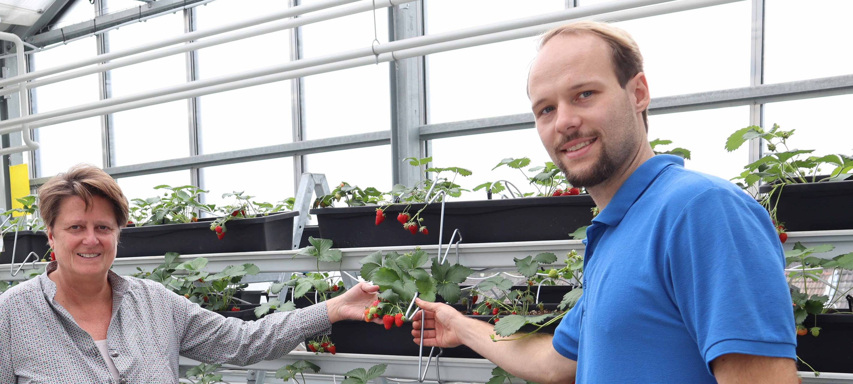 Stadt hat erste Ernte eingefahren