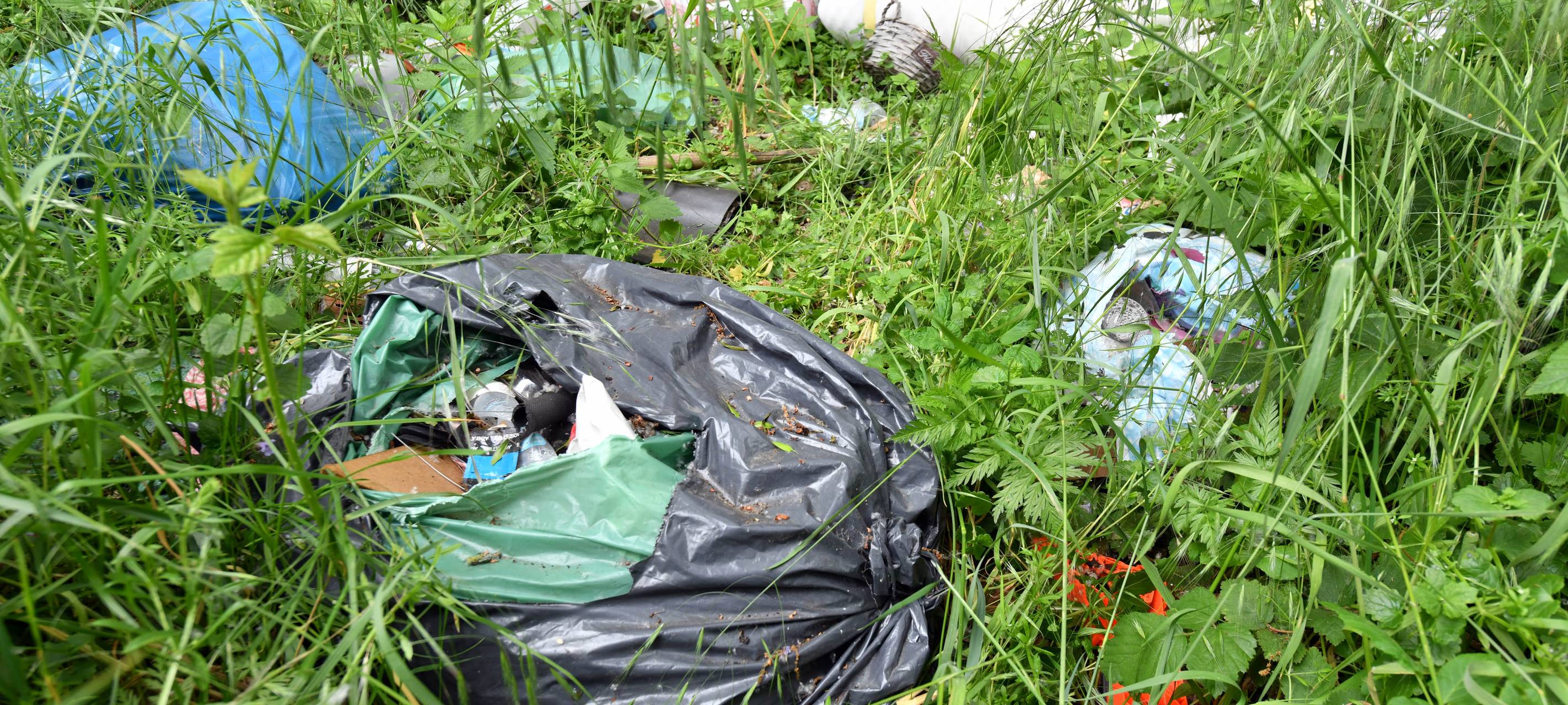 Anmeldungen für Frühjahrsputz 2024 laufen