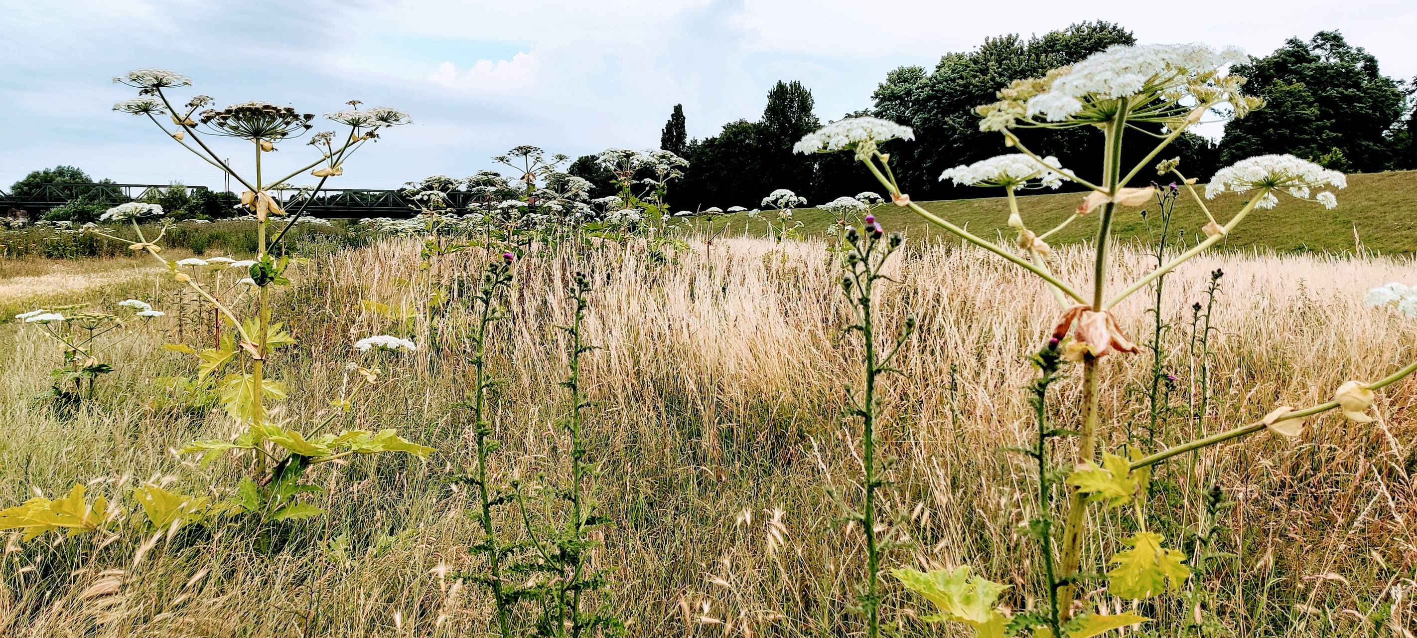 Vorsicht beim Spaziergang