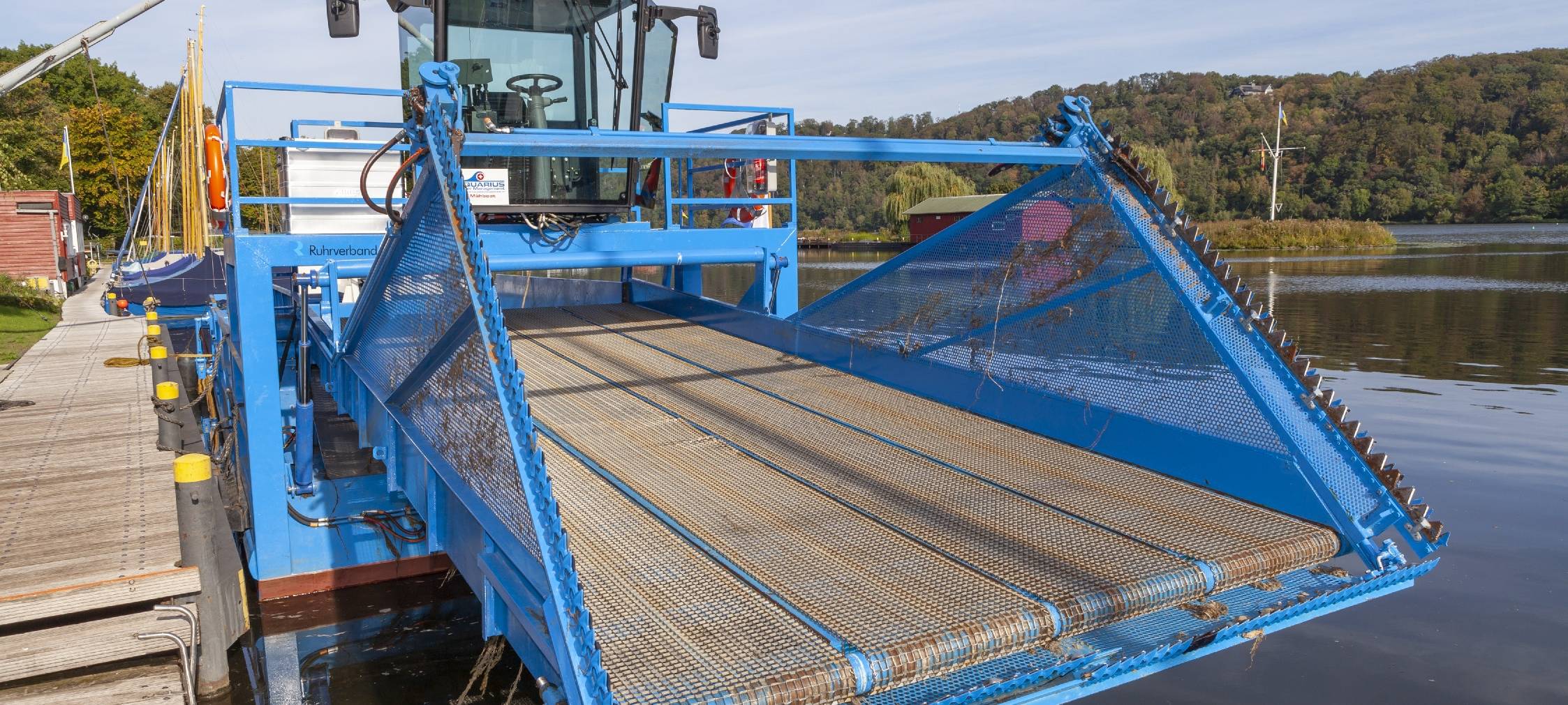 Wasserpest breitet sich in Essen aus