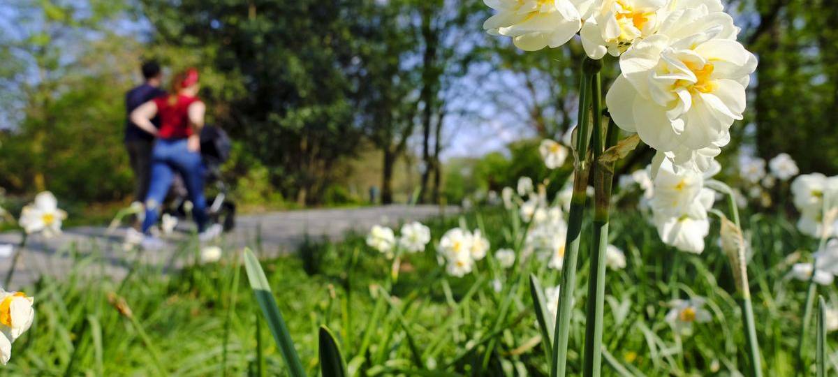 Neue Jogging-Strecke ist beschlossene Sache