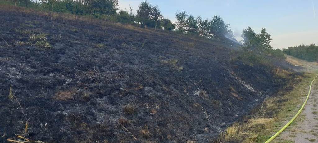 Feuerwehr löscht zwei Böschungen