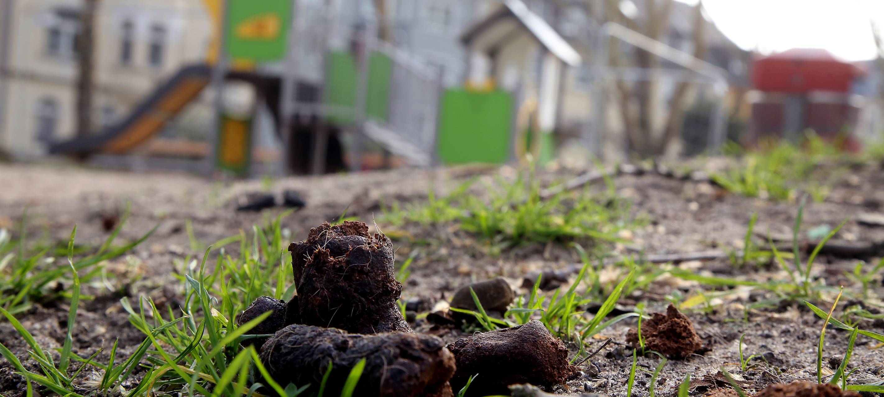 Viel Müll und Hundekot auf Spielplätzen
