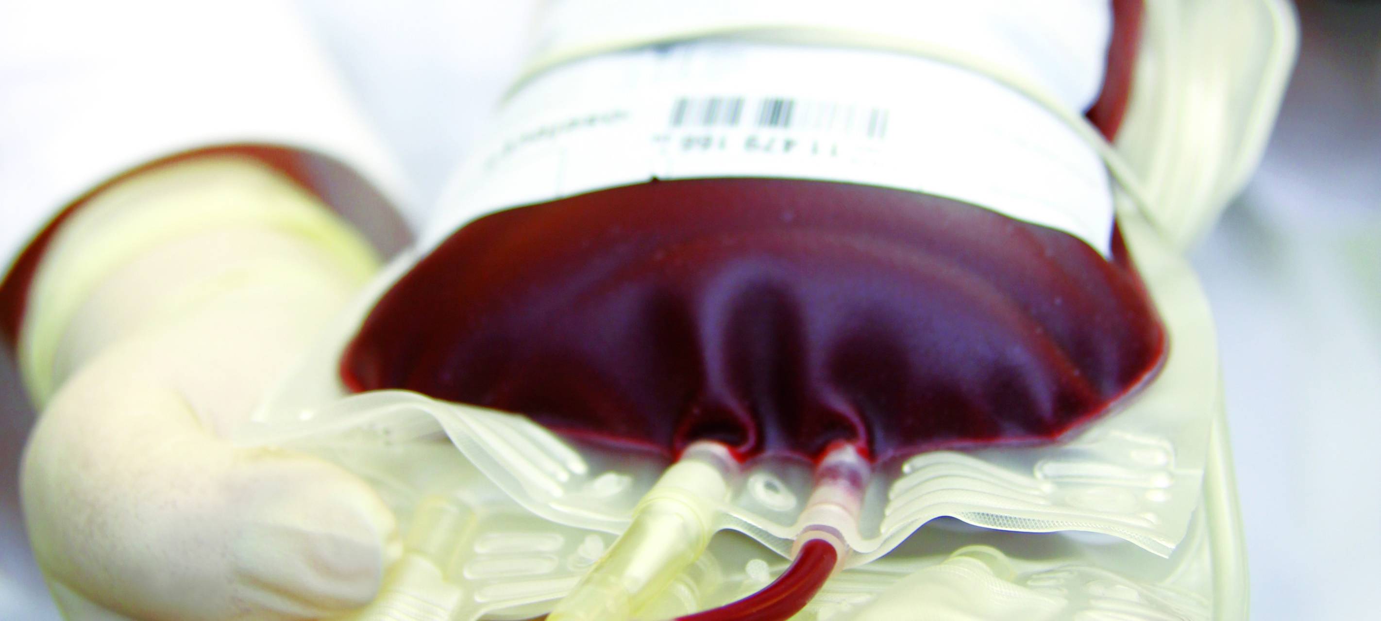 DRK lädt zur Blutspende ein