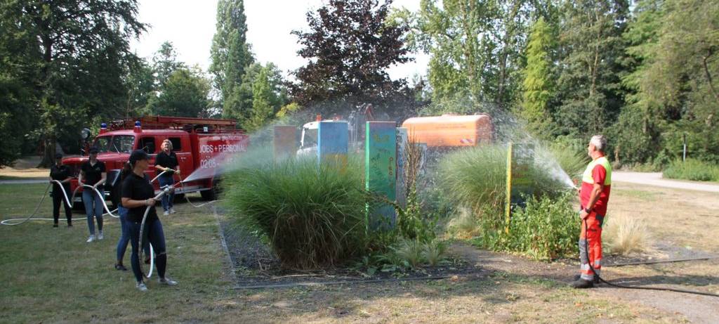 Bäume brauchen dringend Wasser