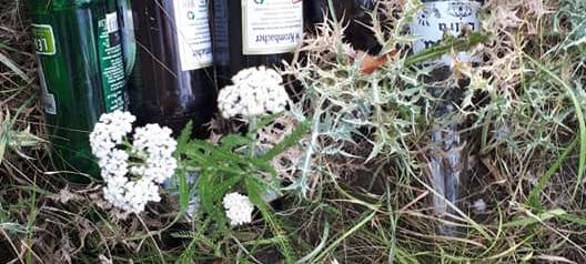 Aufräumaktion in den Styrumer Ruhrauen