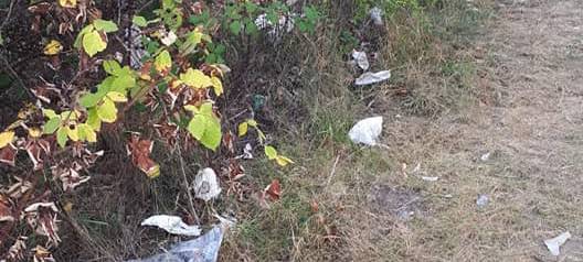 Aufräumaktion in den Styrumer Ruhrauen