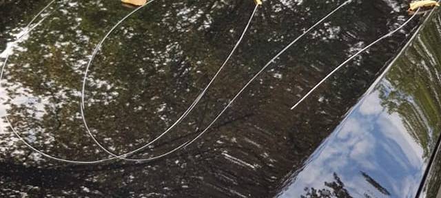 Viele zerkratzte Autos in Bermensfeld