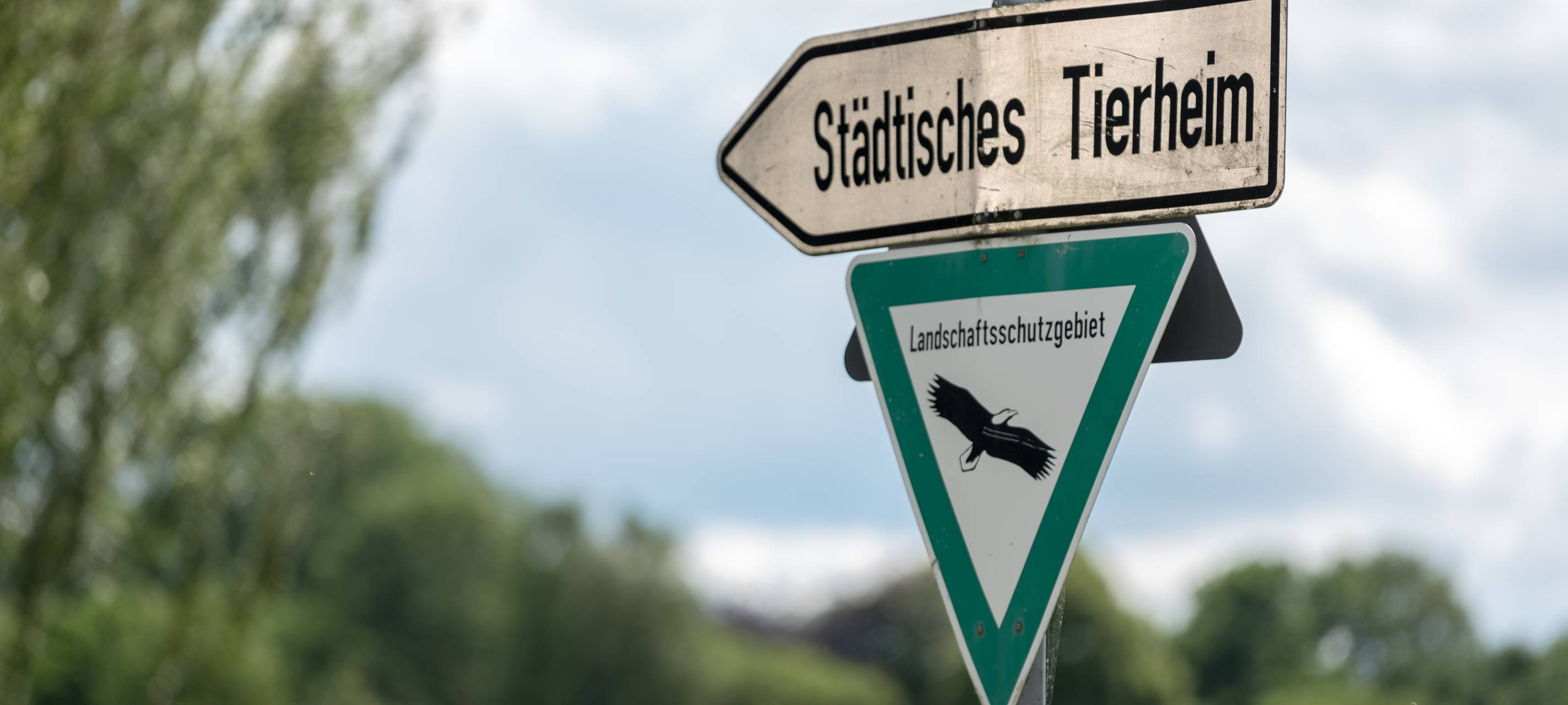 Oberhausen gibt Geld für Tierheim-Sanierung