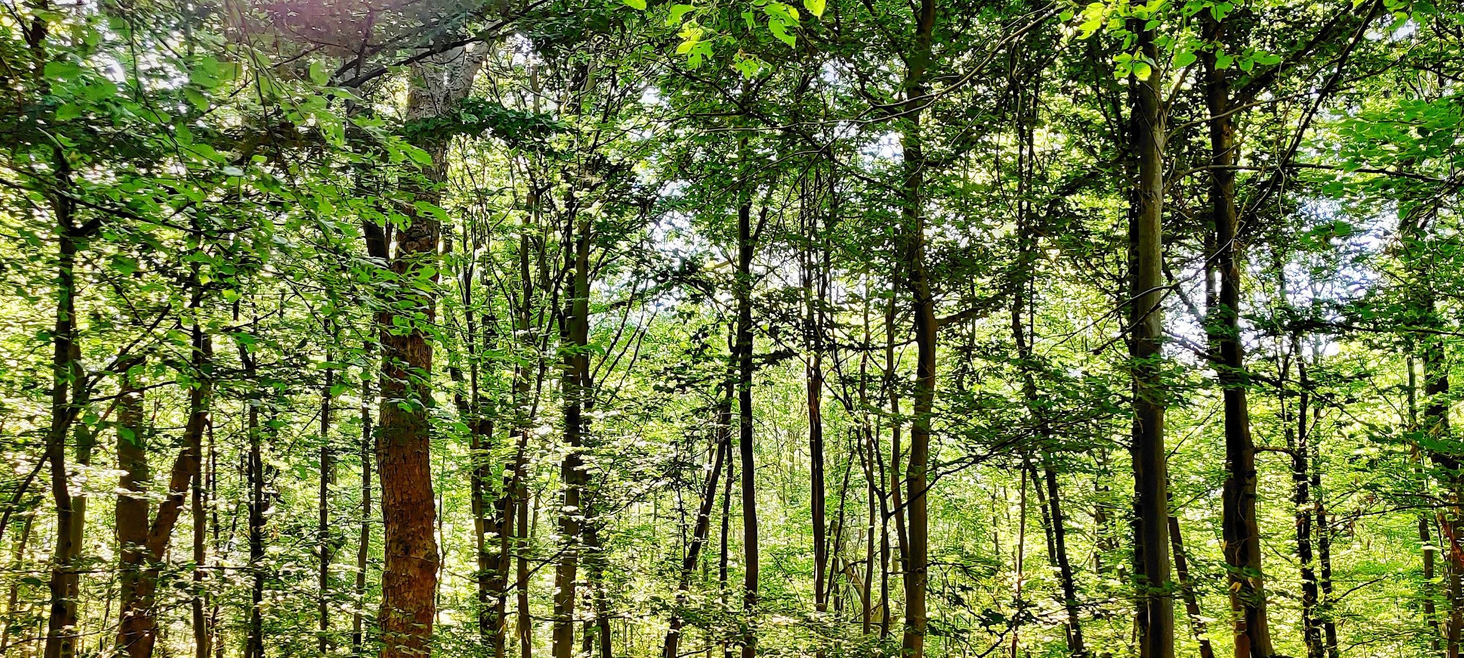 Gegen den Ausbau des AK Oberhausen