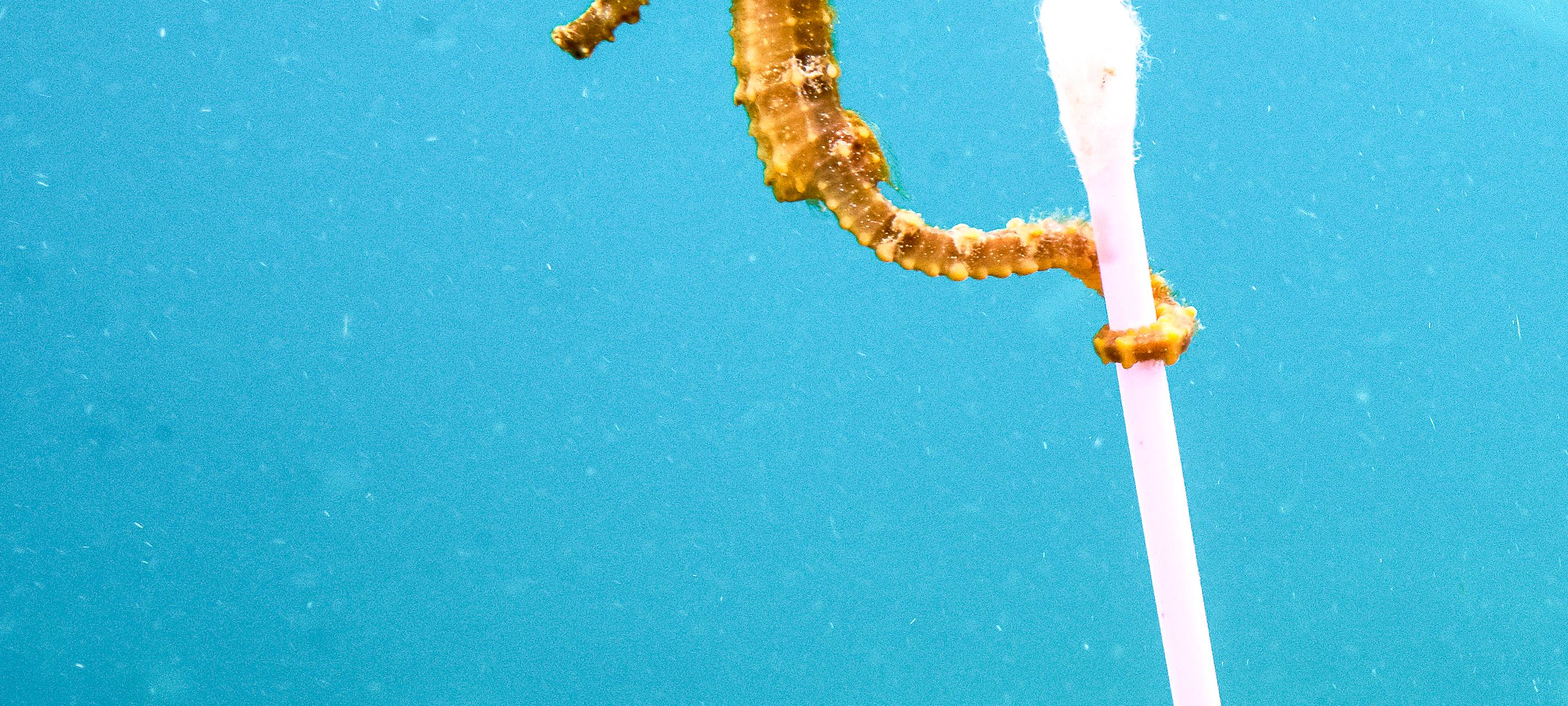 Ausstellung hat schon 250.000 Besucher angelockt