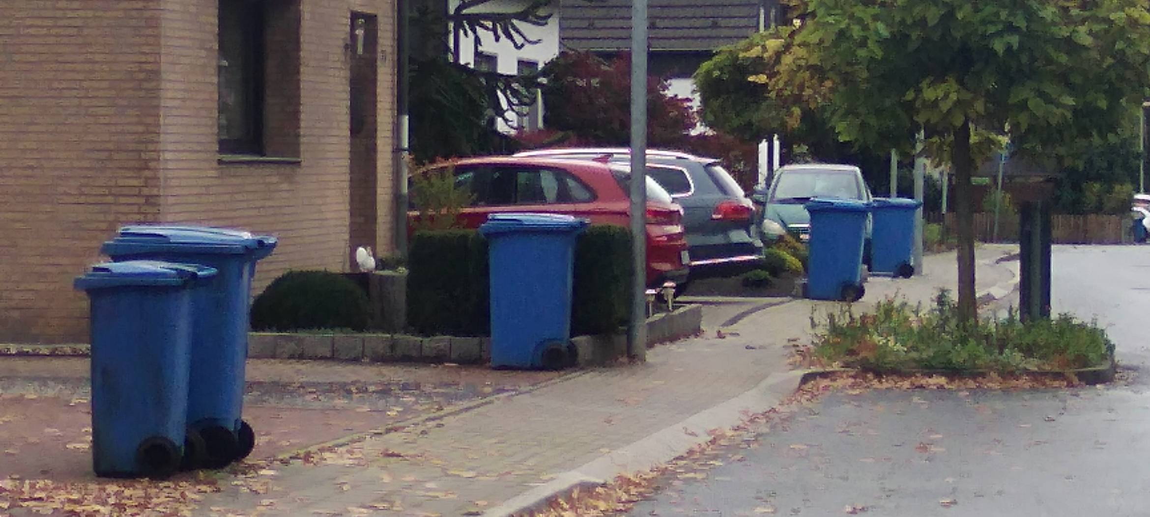 Nicht geleerte Tonnen an der Straße stehenlassen