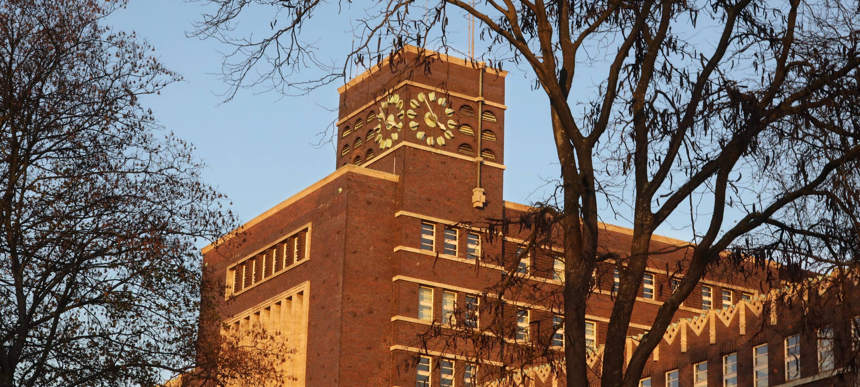 Mehrfamilienhäuser in Königshardt geplant