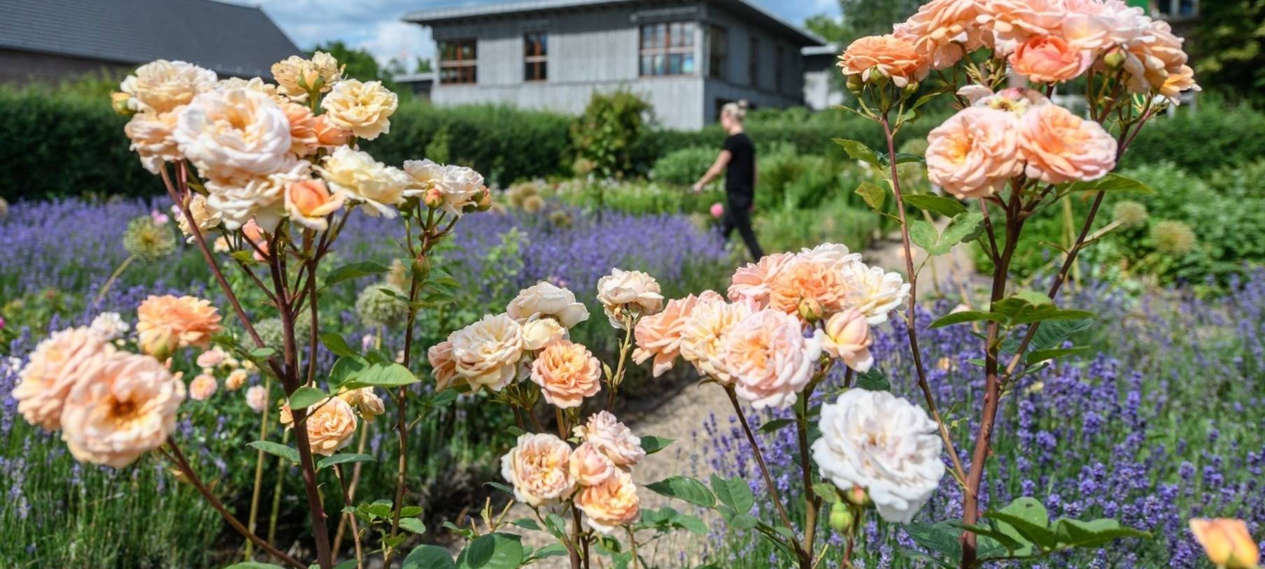 Sommerfest des Emscherkunstwegs