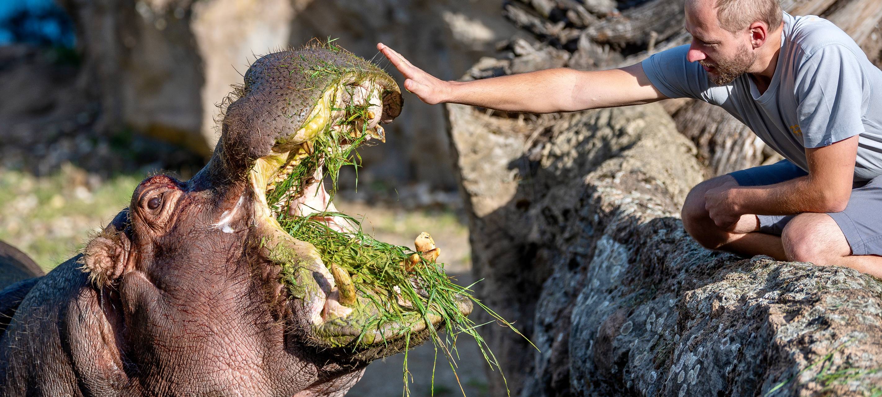 Faire Lösung für Ruhrtopcard gesucht