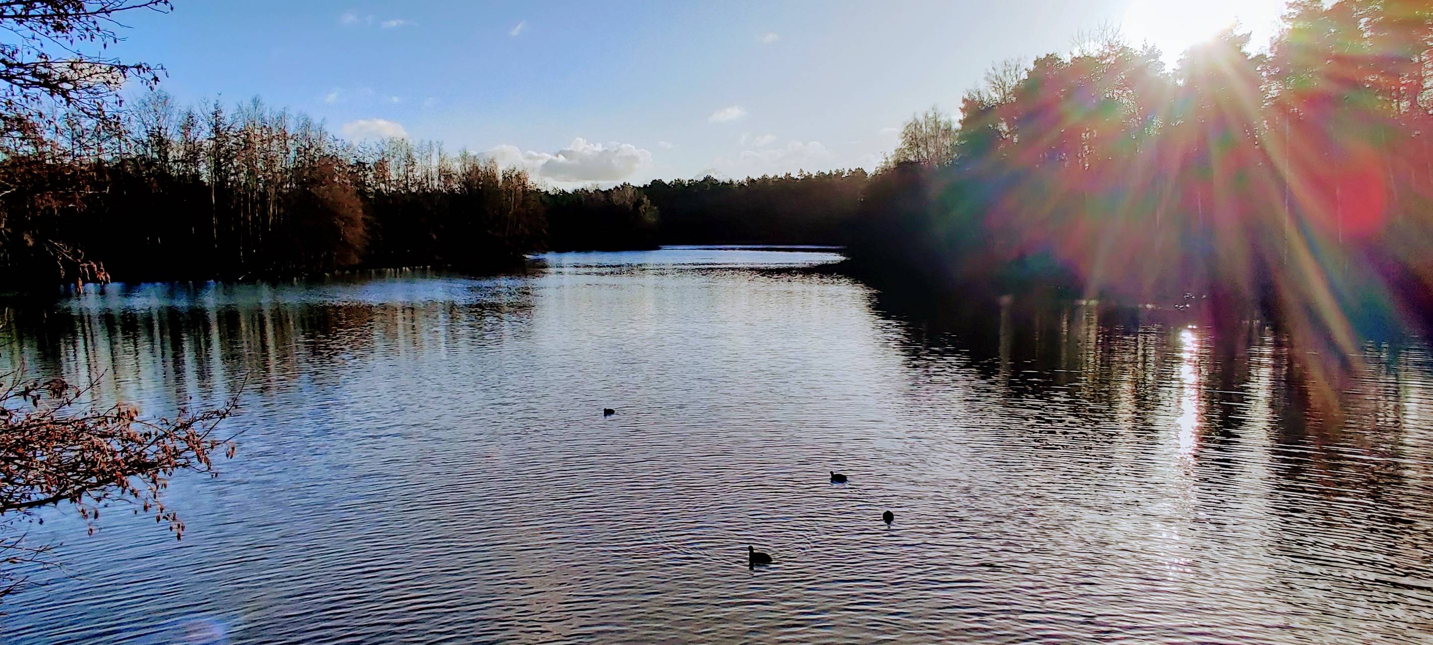 Virtuelle Urlaubsmesse