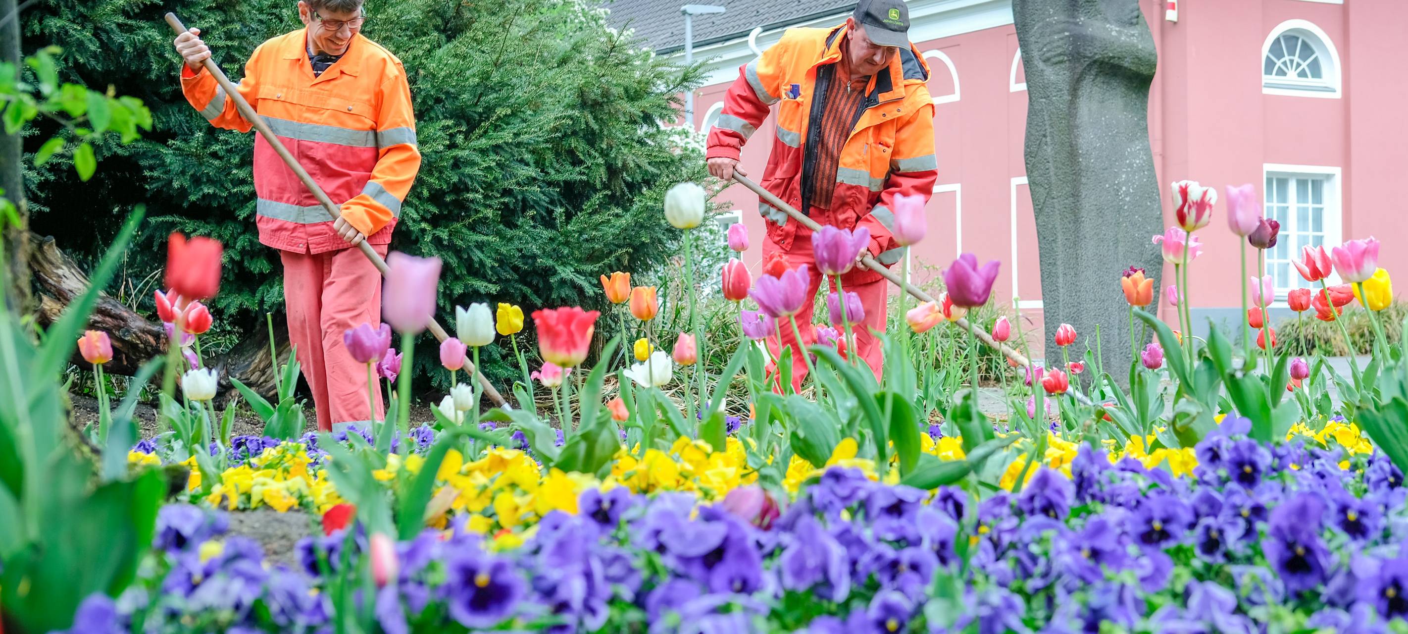 Bunte Blumen sorgen für Frühlingsgefühle