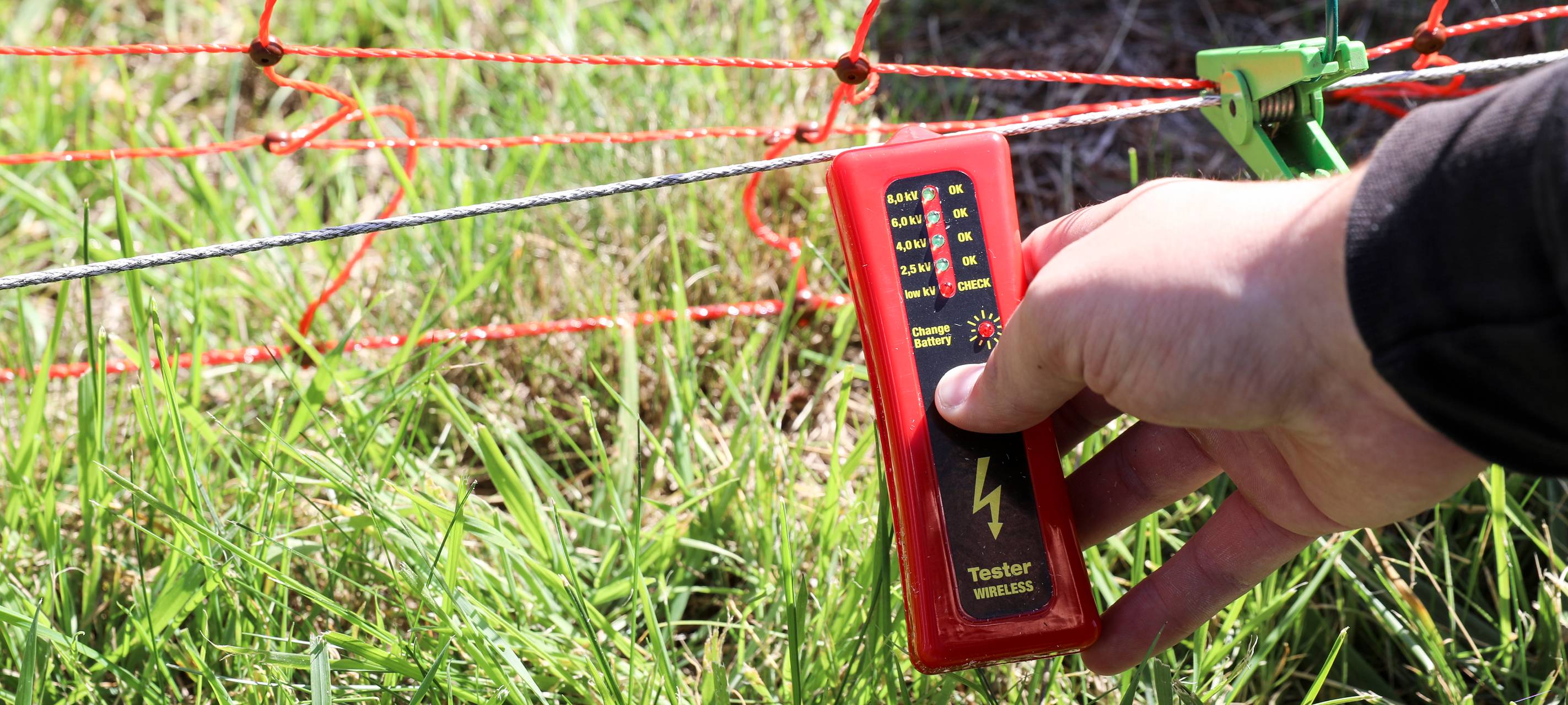 Hürden für Abschuss zu hoch