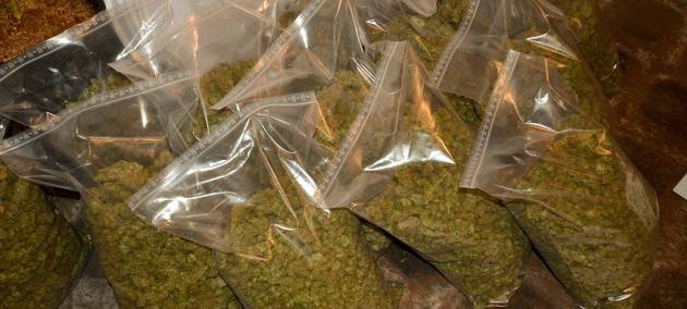 Zoll-Bilanz: 23 Mio. Euro Steuerschaden aufgedeckt