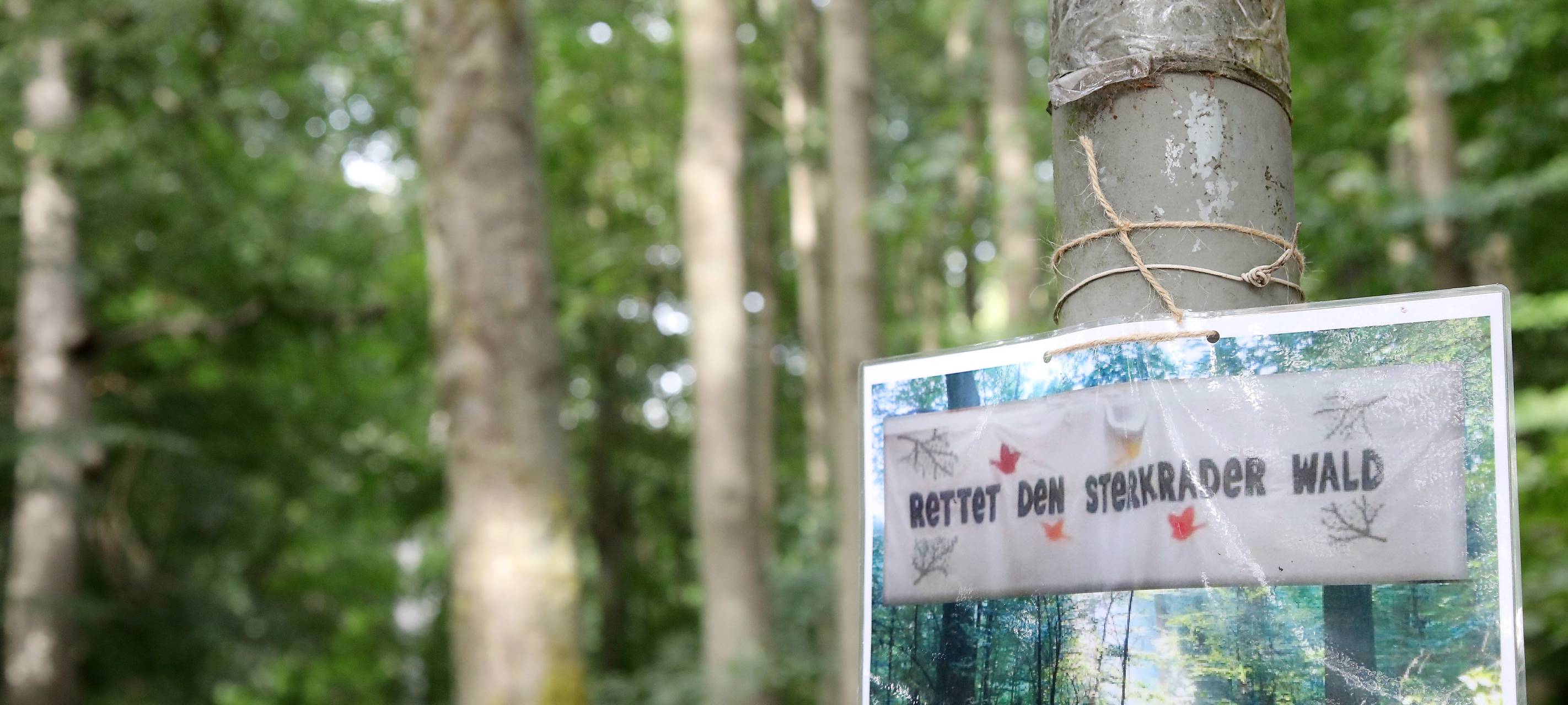 Infostand für Erhalt des Sterkrader Waldes auf Nikolausmarkt