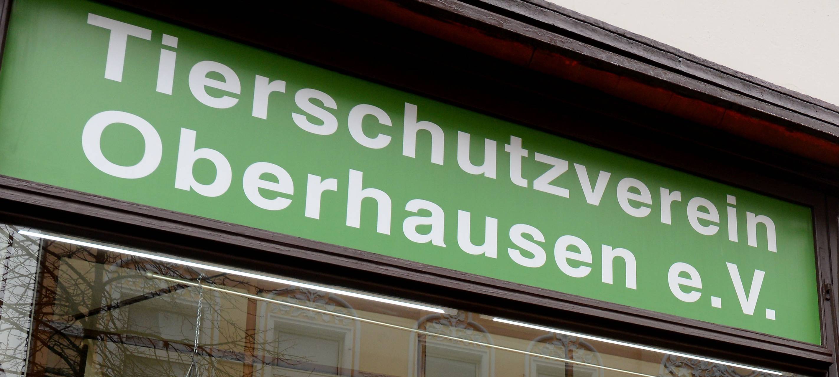 Umzug des Verkaufsladens
