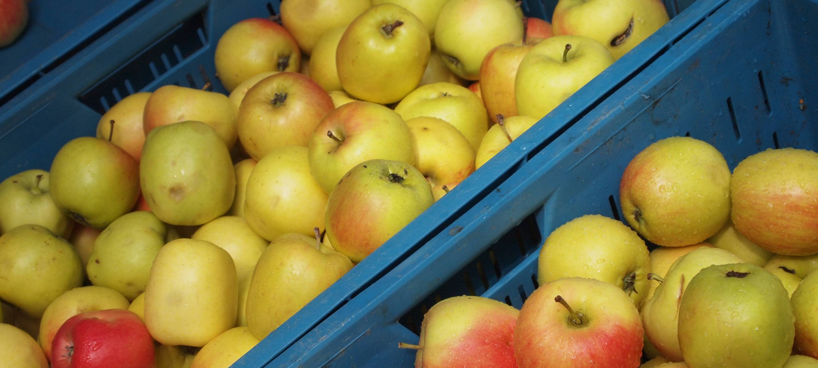 Tag der Deutschen Einheit - Änderungen zum Feiertag