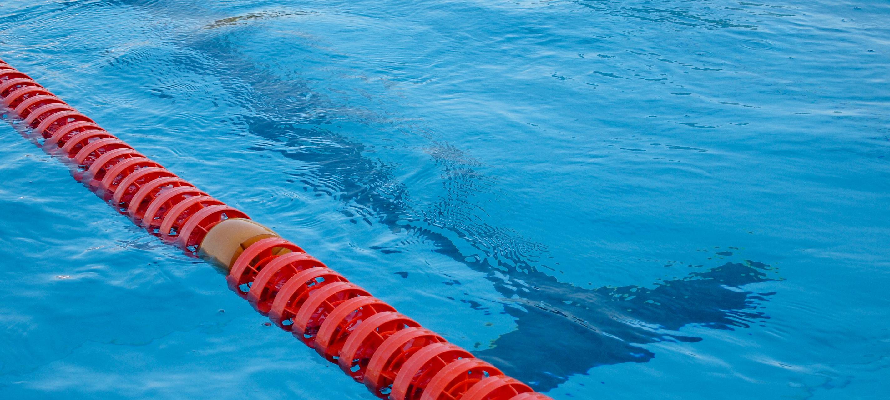 Mit der VR-Brille Schnorcheln gehen