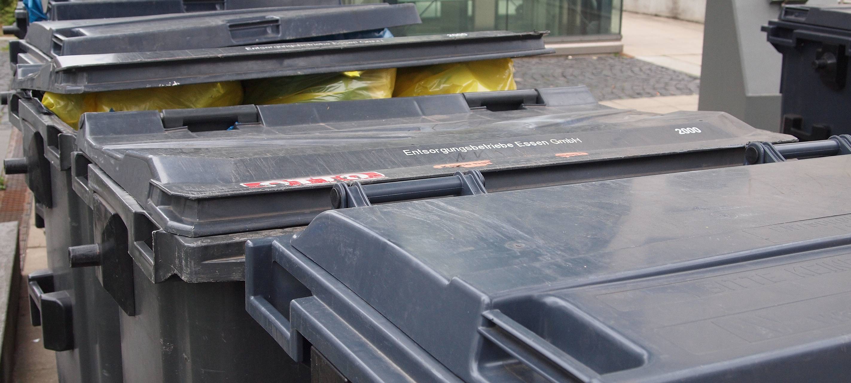 Baumwolle statt Plastik