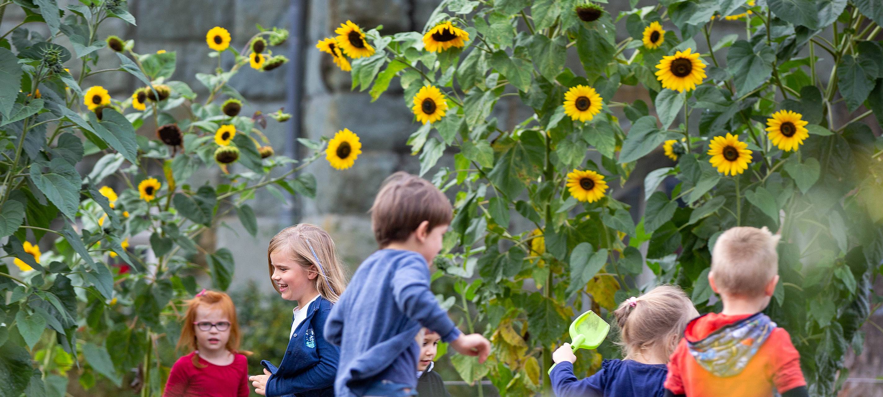 Familienprogramm im Gartenhof